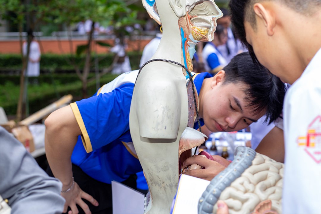 Students explore an anatomical model